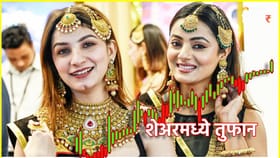 Multibagger Stock: गुंतवणूकदारांचा भांगडा, 1 लाखांचे झाले 78 लाख.