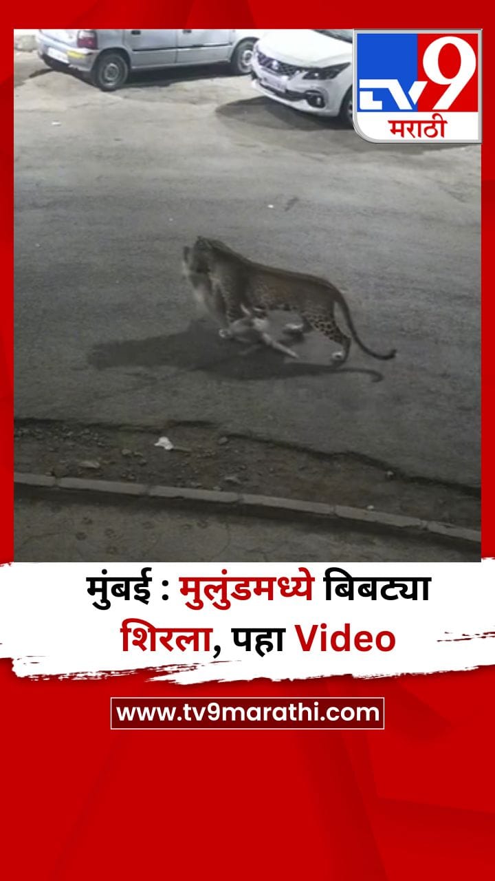 मुंबई : मुलुंडमध्ये बिबट्या शिरला, पहा Video