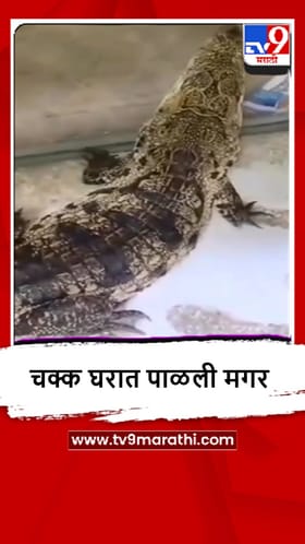 Mumbai : जुहूमध्ये चक्कू घरातून मगर आणि कासव जप्त.