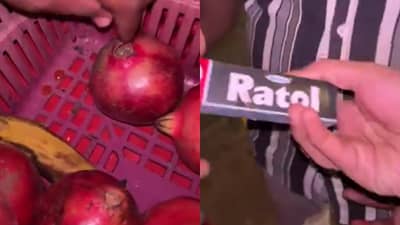 मुंबईच्या फळविक्रेत्याचा भयानक प्रताप, Video पाहून तुम्ही फळं खाणं सोडून द्याल