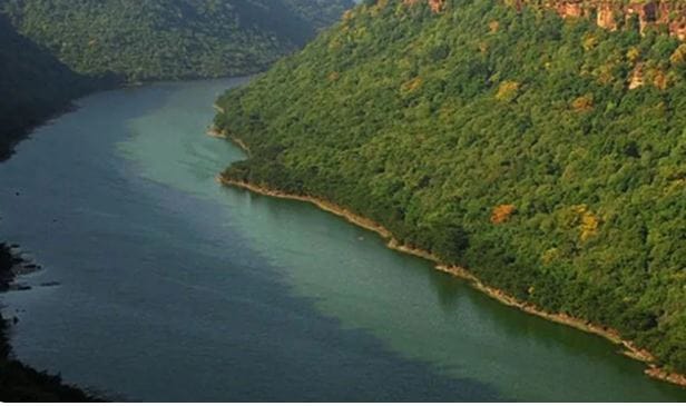 नर्मदा ही भारतातील सर्वात मोठी असलेली पाचवी नदी आहे. या नदीची एकूण लांबी 1310 किलोमीटर आहे. ही नदी अन्य नद्यांप्रमाणे बंगालच्या खाडीमध्ये विसर्जित होत नाही. ही नदी अरबी समुद्राला जाऊन मिळते. 