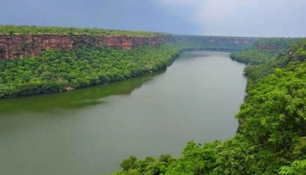 इतर सर्व नद्या बंगालच्या खाडीत विसर्जित होतात. मग ही एकच नदी गुजरातमध्ये अरबी समुद्राला का मिळते, असा प्रश्न अनेकांना पडतो. मध्य प्रदेश, महाराष्ट्र आणि गुजरातमधील या नदीच्या प्रवाहमार्गातील भौगोलिक स्थितीमुळे ही नदी अरबी समुद्राला मिळते. 