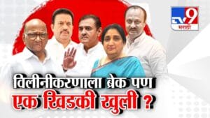 राष्ट्रवादीच्या विलीनीकरणाला ब्रेक पण एक खिडकी खुली?