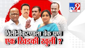 राष्ट्रवादीच्या विलीनीकरणाला ब्रेक पण एक खिडकी खुली?.