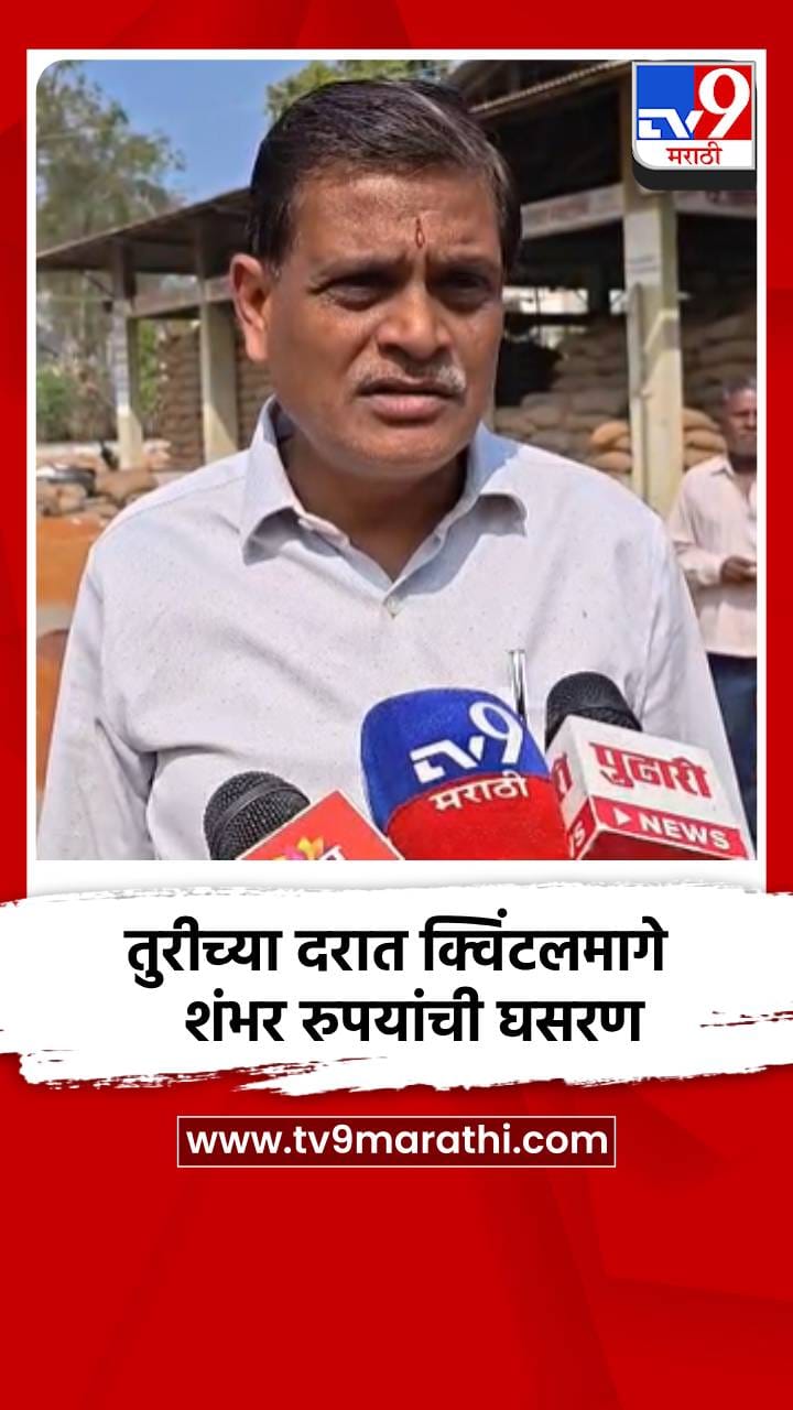 तुरीच्या दरात क्विंटलमागे शंभर रुपयांची घसरण