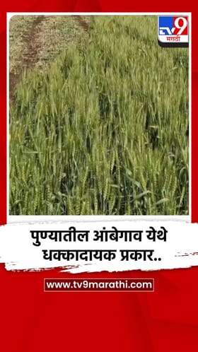 पुण्यातील आंबेगाव येथे धक्कादायक प्रकार...