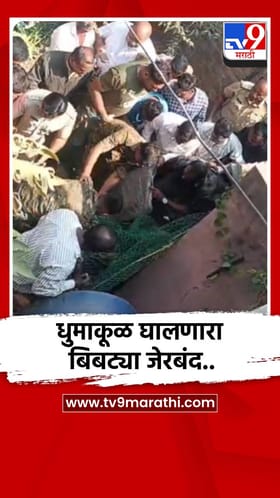 धुमाकूळ घालणारा बिबट्या जेरबंद.