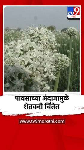 पावसाच्या अंदाजामुळे शेतकरी चिंतेत