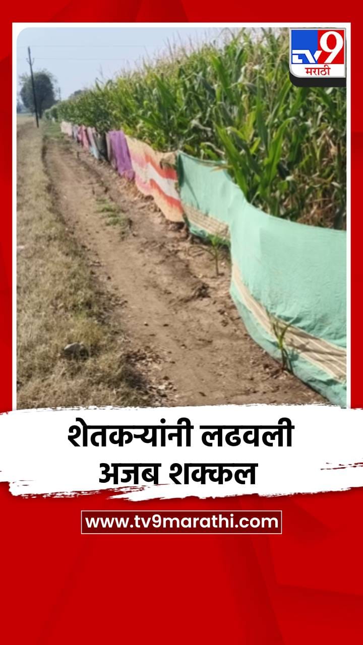 शेतकऱ्यांनी लढवली अजब शक्कल