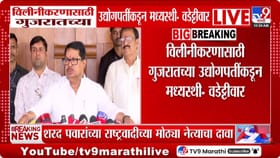 विलीनीकरणासाठी गुजरातच्या उद्योगपतींकडून मध्यस्थी.