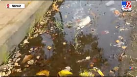 गटारातील पाण्यात फळे धुतली; व्हिडीओ पाहून तुम्हालाही किळस येईल.