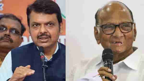 मोठी बातमी! राष्ट्रवादीच्या विलिनीकरणाला भाजपनेच ग्रीन सिग्नल दिला होता, 14 नोव्हेंबरला...,शरद पवार गटाच्या बड्या नेत्याच्या दाव्यानं खळबळ