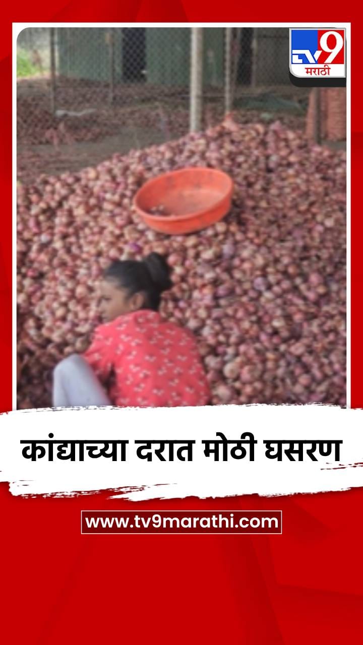 कांद्याची आवक वाढली, दरात घसरण सुरूच