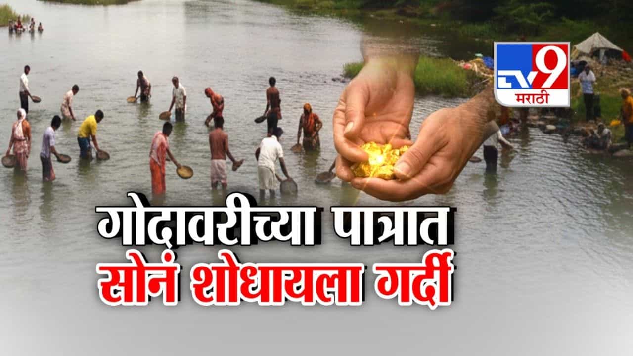 चाळण्या-टोपल्या घेऊन सोनं शोधायला गोदापात्रात उतरले लोक!