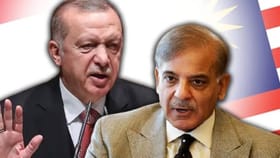 पाकिस्तानला अत्यंत मोठा धक्का, मित्र देशानेच केली मोठी पोलखोल, थेट....