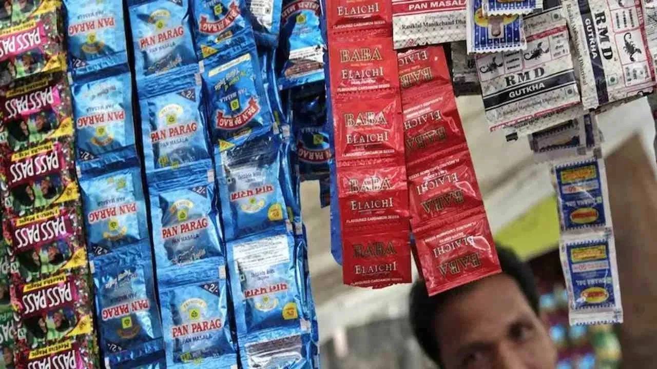 पान मसाला भरणार सरकारची तिजोरी, ‘या’ वर्षी किती हजार कोटींचे टार्गेट, जाणून घ्या पान मसाला भरणार सरकारची तिजोरी, ‘या’ वर्षी किती हजार कोटींचे टार्गेट, जाणून घ्या