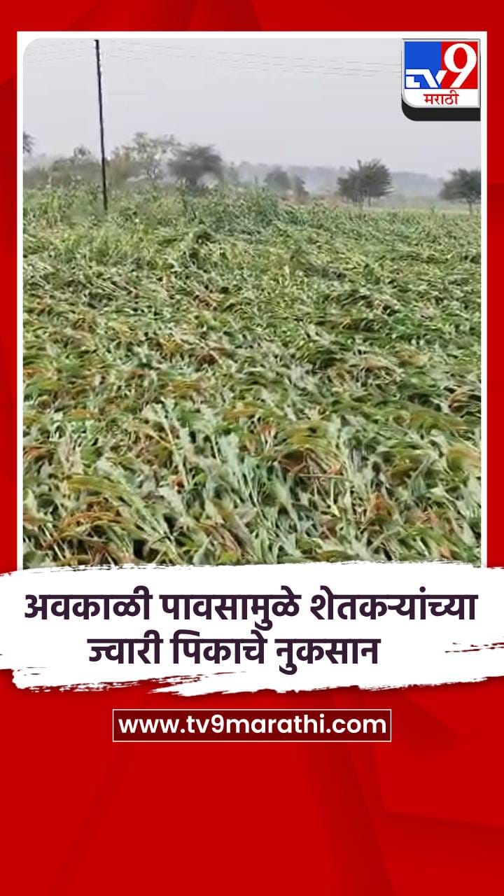 मांडेखेल शिवारात अवकाळी पावसामुळे शेतकऱ्यांच्या ज्वारी पिकाचे नुकसान