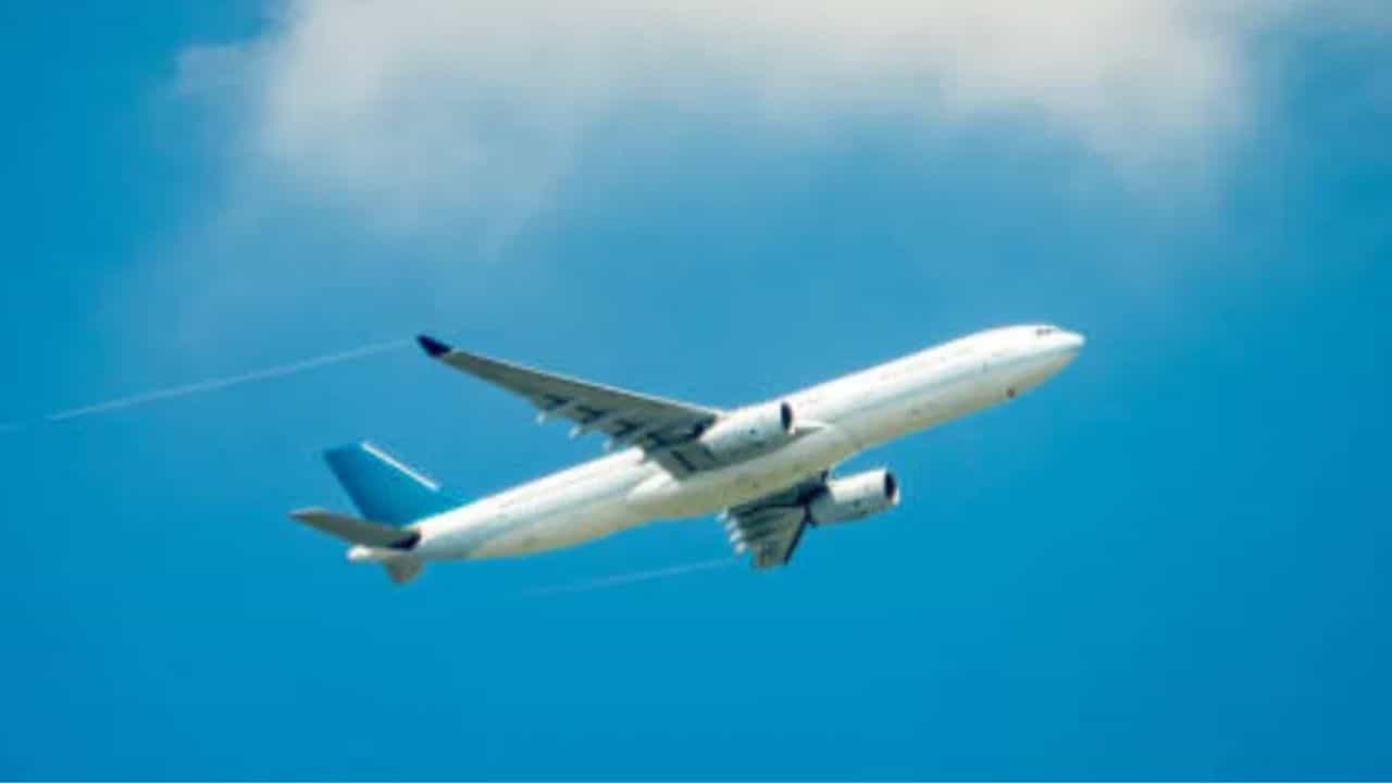 विमानाच्या सीटचा रंग नेहमी निळाच का असतो? एअर होस्टसने सांगितलं धक्कादायक सत्य, ऐकून तुम्हालाही बसेल मोठा झटका