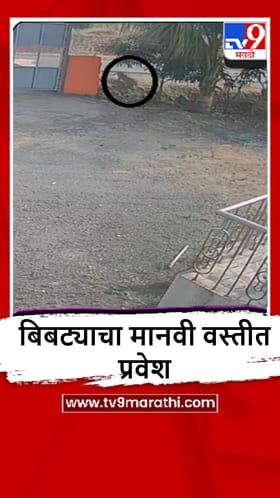 Khed : शिवे गावात बिबट्याचा वावर, स्थानिकांमध्ये भीतीचं वातावरण.