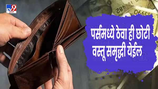 तुमच्या पाकिटात पैसे टिकत नाहीत का आणि तुम्ही कमाईपेक्षा जास्त खर्च करता का? वास्तुशास्त्रात या वास्तुदोषांवर उपायांबद्दल काही गोष्टी सांगितल्या आहेत.