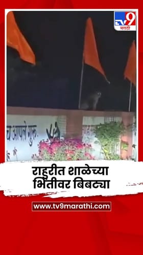 राहुरीत शाळेच्या भिंतीवर बिबट्या; व्हिडीओ व्हायरल