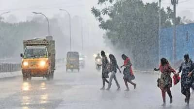 राज्यातील हवामानात बदल, पावसाचा इशारा, 20, 21 आणि 22 फेब्रुवारीला...