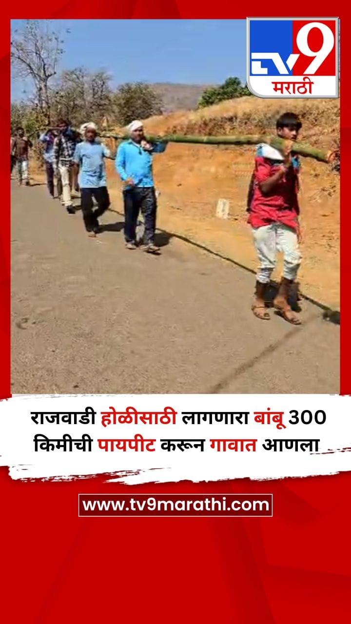 राजवाडी होळीसाठी लागणारा बांबू 300 किमीची पायपीट करून गावात आणला