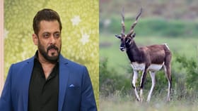 सलमान खानचं काय होणार? काळवीट शिकार प्रकरणात महत्त्वाची सुनावणी.