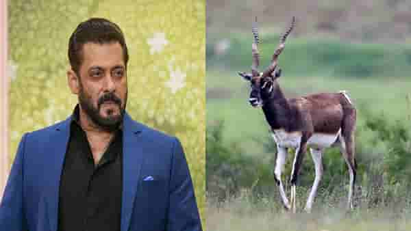 सलमान खानचं काय होणार? काळवीट शिकार प्रकरणात न्यायालयात महत्त्वाची सुनावणी; सर्वात महत्त्वाचा दिवस!