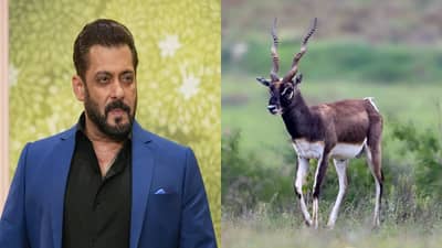 सलमान खानचं काय होणार? काळवीट शिकार प्रकरणात न्यायालयात महत्त्वाची सुनावणी; सर्वात महत्त्वाचा दिवस!