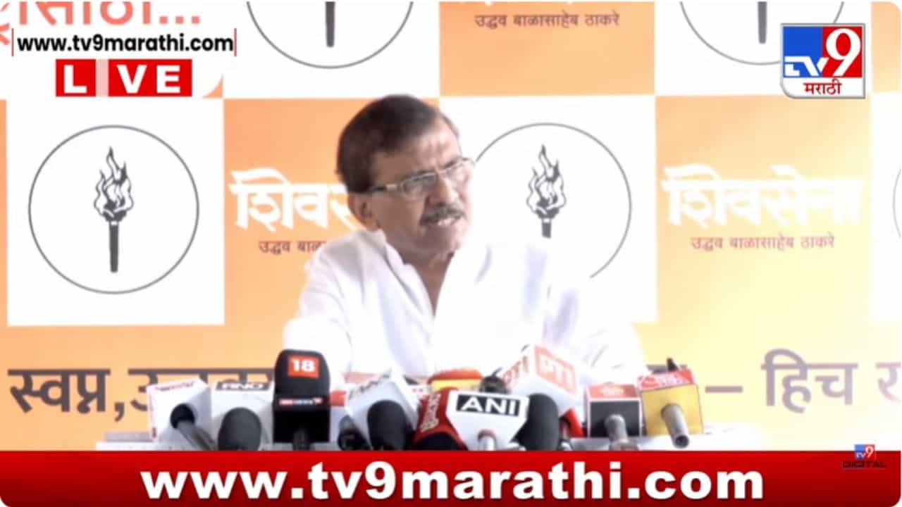 ठाकरे बंधूंच्या युतीत मिठाचा खडा पडलाय? संजय राऊतांचा मोठा खुलासा