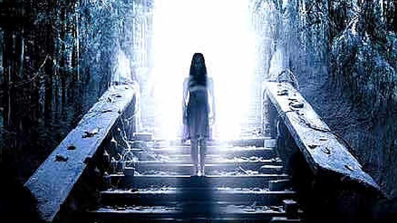 ‘हॉन्टेड 3डी’ मधील जवळपास प्रत्येक सीन इतका भयानक होता की, थिएटरमध्ये बसलेल्या प्रेक्षकांच्या तोंडून किंकाळ्या निघाल्या होत्या. चित्रपटातील भयावह वातावरण, 3D इफेक्ट्स आणि पार्श्वसंगीताने प्रेक्षकांचं काळीज धडधडायला लागलं होतं. त्यामधील सीन पाहून अंगावर शहारे येत होते असं अनेक प्रेक्षक सांगतात.