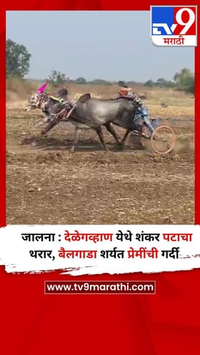 जालना : देळेगव्हाण येथे शंकर पटाचा थरार, बैलगाडा शर्यत प्रेमींची गर्दी.