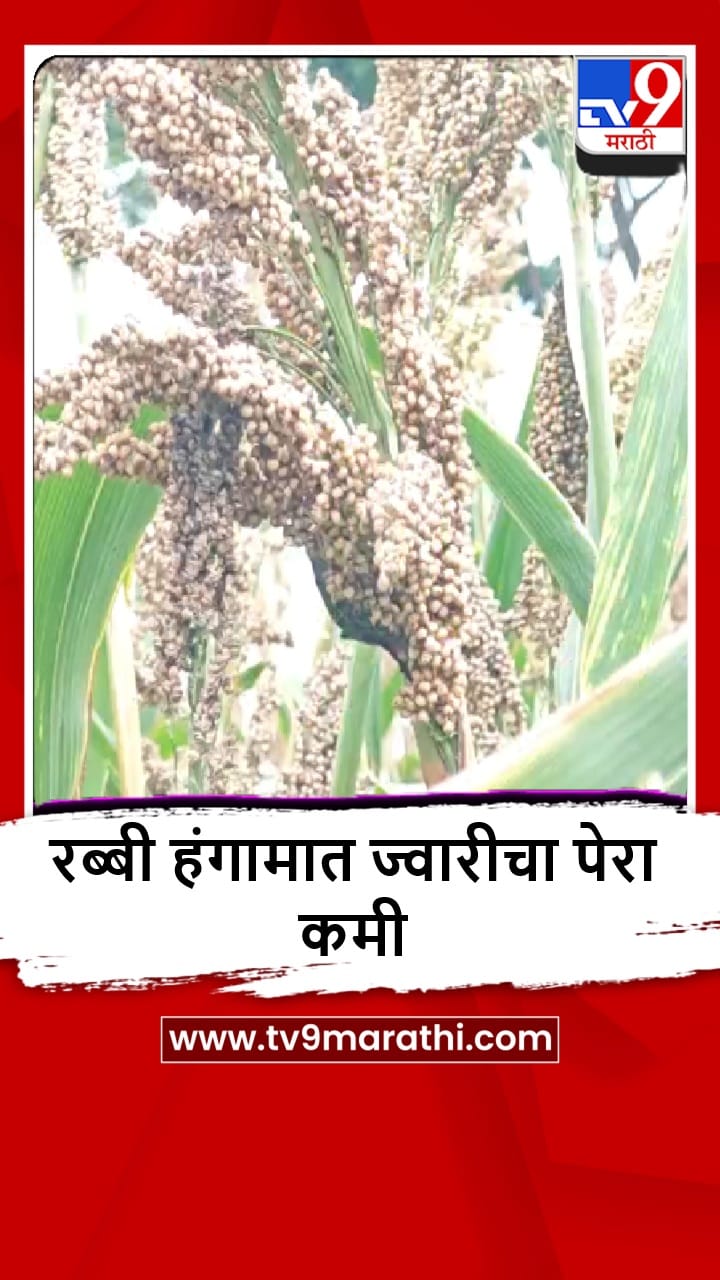 Washim : ज्वारीच्या पेऱ्यात घट, कृषी विभागाकडून शेतकऱ्यांना पेरणीबाबत मार्गदर्शन