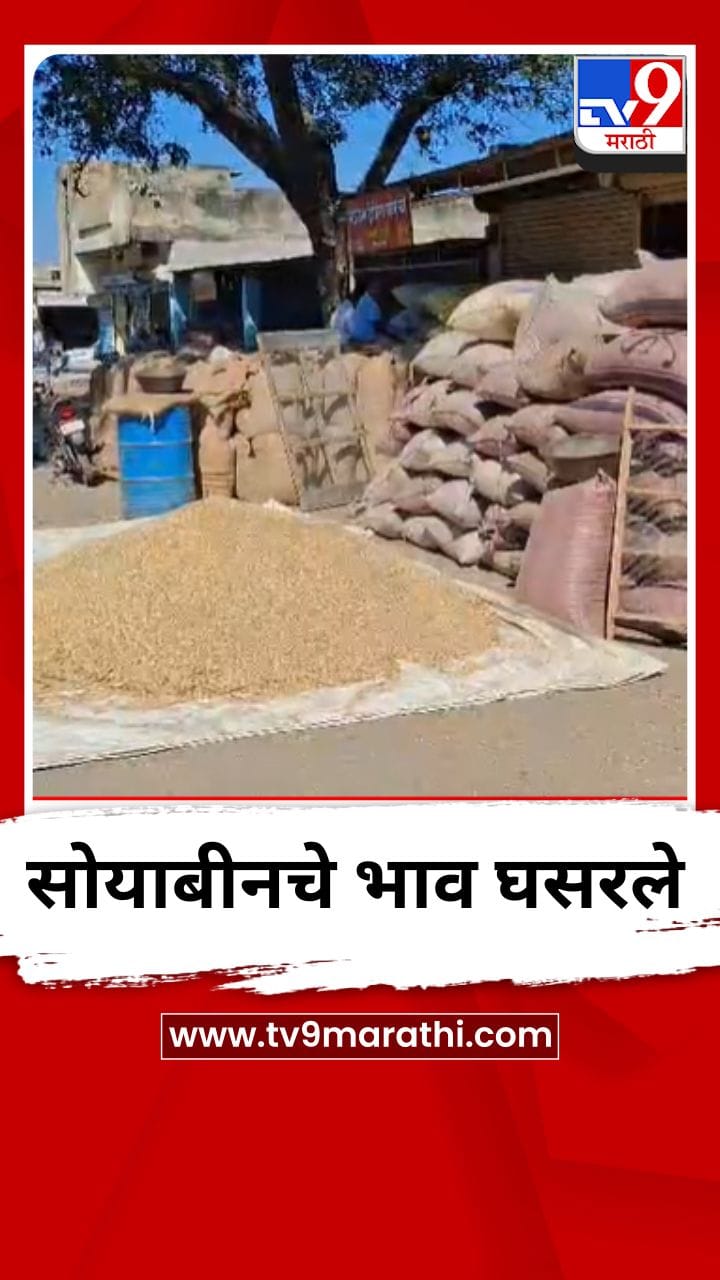 लातूरच्या अडत बाजारात सोयाबीनचे भाव घसरले