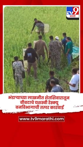 भंडाऱ्याच्या लाखनीत शेतशिवारातून बीबटाचे यशस्वी रेस्क्यू, वनविभागाची तत्पर कारवाई