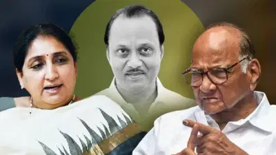 सुनेत्राताईंनी टायमिंग चुकवला असता तर शरद पवारांनी भाकरीच फिरवली असती; बड्या नेत्याच्या विधानाने खळबळ