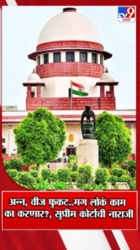 ...मग लोकं काम का करणार? मोफत योजनांवर सुप्रीम कोर्टाची नाराजी!.