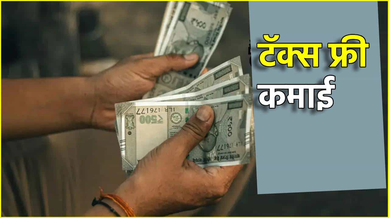 No Tax: कितीही कमवा, या कमाईवर नका भरू एक रुपया टॅक्स, उत्पन्नाचे स्त्रोत कोणते?