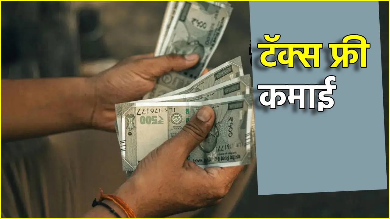 No Tax: कितीही कमवा, या कमाईवर नका भरू एक रुपया टॅक्स, उत्पन्नाचे स्त्रोत कोणते? No Tax: कितीही कमवा, या कमाईवर नका भरू एक रुपया टॅक्स, उत्पन्नाचे स्त्रोत कोणते?