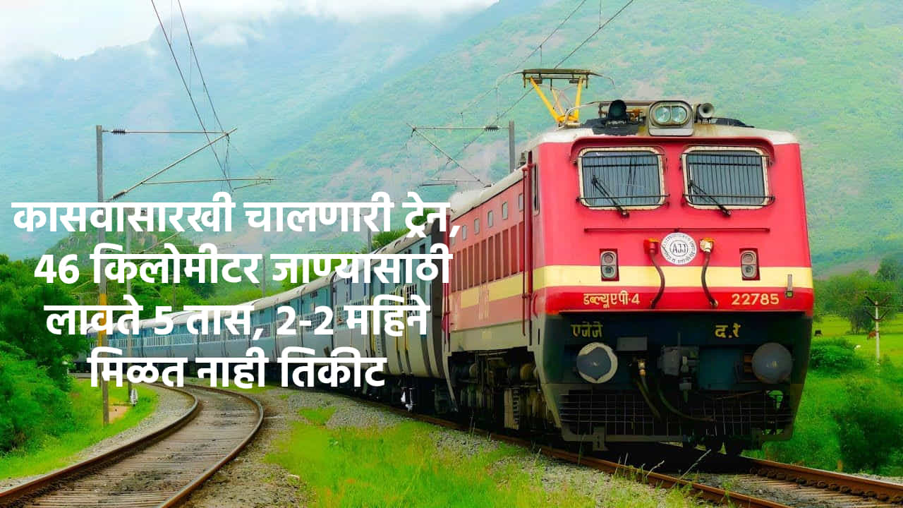 भारतामध्ये दररोज सुमारे 13,000 प्रवासी गाड्या धावतात आणि भारतीय रेल्वे ही जगातील चौथी सर्वात मोठी रेल्वे व्यवस्था म्हणून ओळखली जाते.
