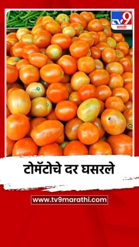 टोमॅटोचे दर घसरले.