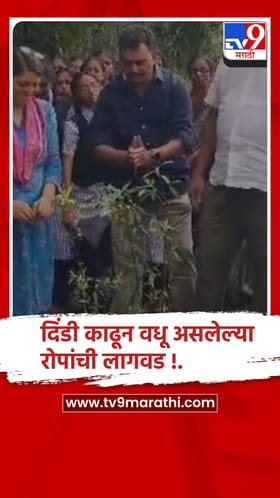 अभिनेते सयाजी शिंदे यांच्या हस्ते स्री जातीच्या वाळूंज या दुर्मिळ वनस्पतीची लागवड.