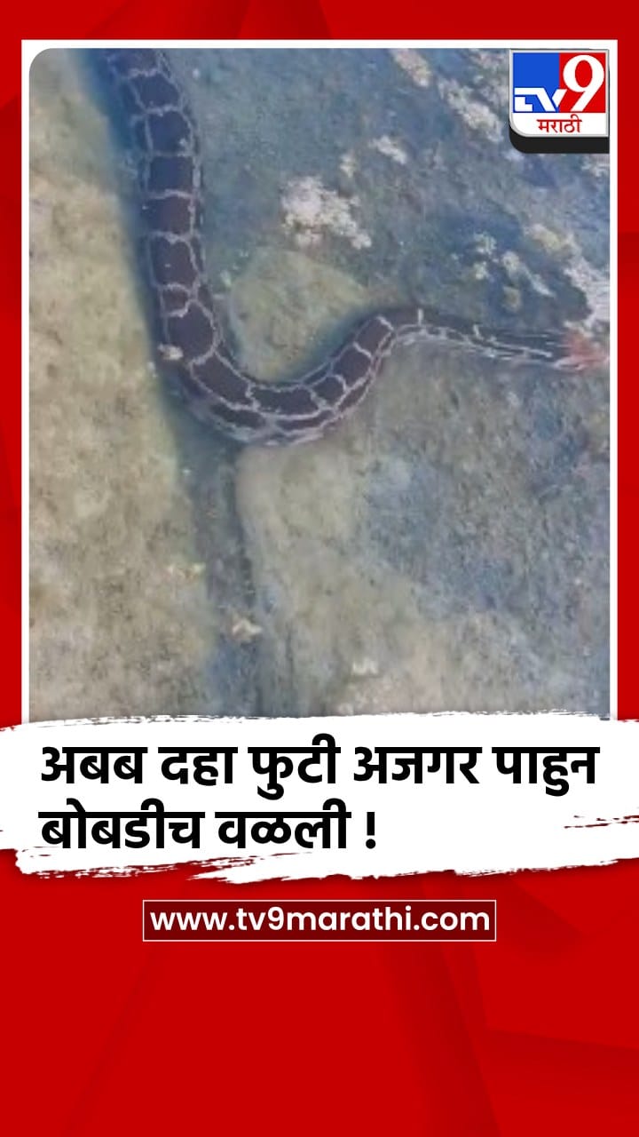 धुळे : कुंडाणे (वार) शिवारात आढळला अबब दहा फुटी अजगर