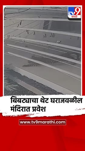 संगमनेर शहरातील कुंथूनाथ सोसायटीमध्ये बिबट्याच्या दर्शनाने नागरिक भयभीत.