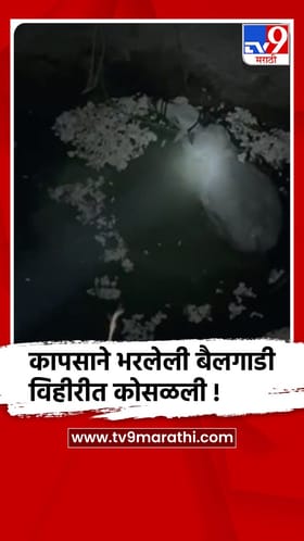 कापसाने भरलेली बैलगाडी विहीरीत कोसळली, एका बैलाचा मृत्यू तर.....