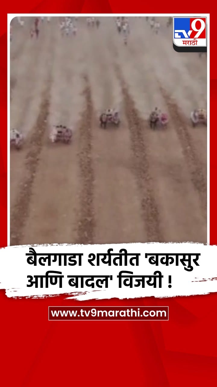 सातारा:'उदयनराजे केसरी'भव्य बैलगाडा शर्यतीत 'बकासुर आणि बादल' ही बैलजोडी विजयी