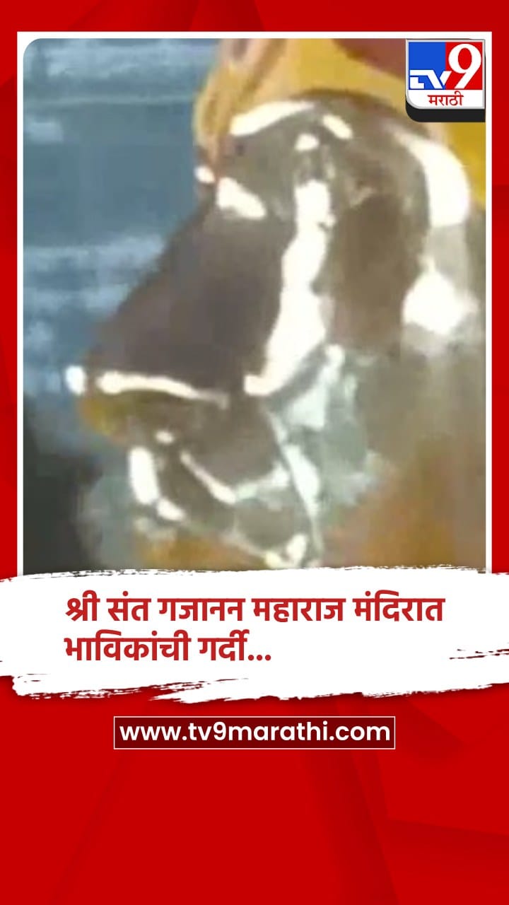 जया एकादशीच्या निमित्त शेगावच्या श्री संत गजानन महाराज मंदिरात भाविकांची गर्दी