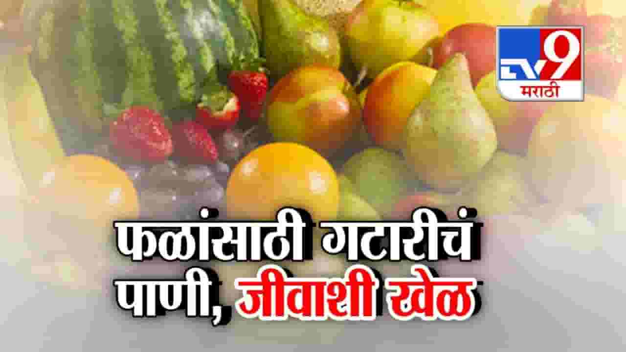 Vasai Virar Viral Video : धक्कादायक! गटारीच्या पाण्याने धुतली फळं; वसई-विरारमधला व्हिडीओ व्हायरल