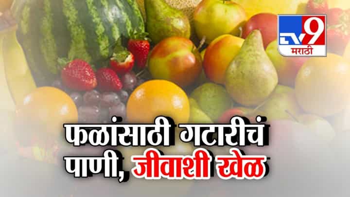Vasai Virar Viral Video : धक्कादायक! गटारीच्या पाण्याने धुतली फळं; वसई-विरारमधला व्हिडीओ व्हायरल Vasai Virar Viral Video : धक्कादायक! गटारीच्या पाण्याने धुतली फळं; वसई-विरारमधला व्हिडीओ व्हायरल